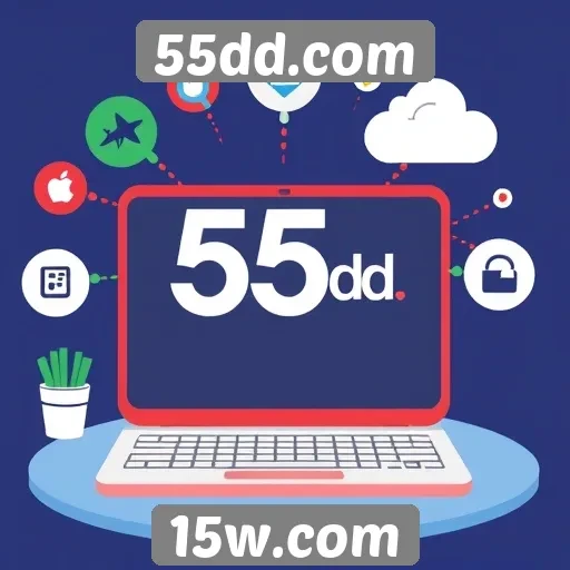 Principais recursos oferecidos pelo 55dd.com